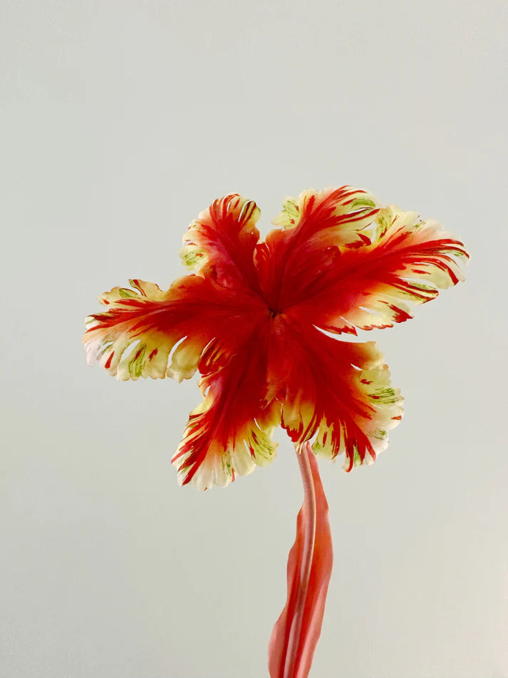 Reevein Studios Tulip Bell Sunset Faux Flowers