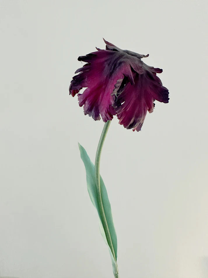 Reevein Studios Tulip Bell Plum Faux Flowers