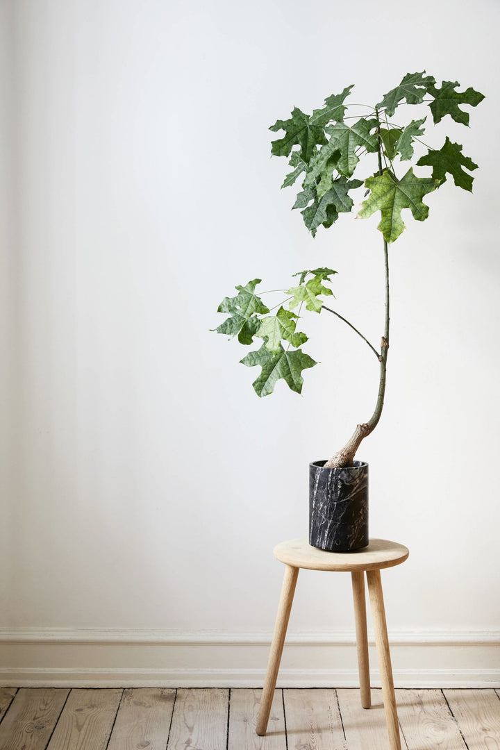 Wehlers Stool, skammel FSC-certificeret Eg