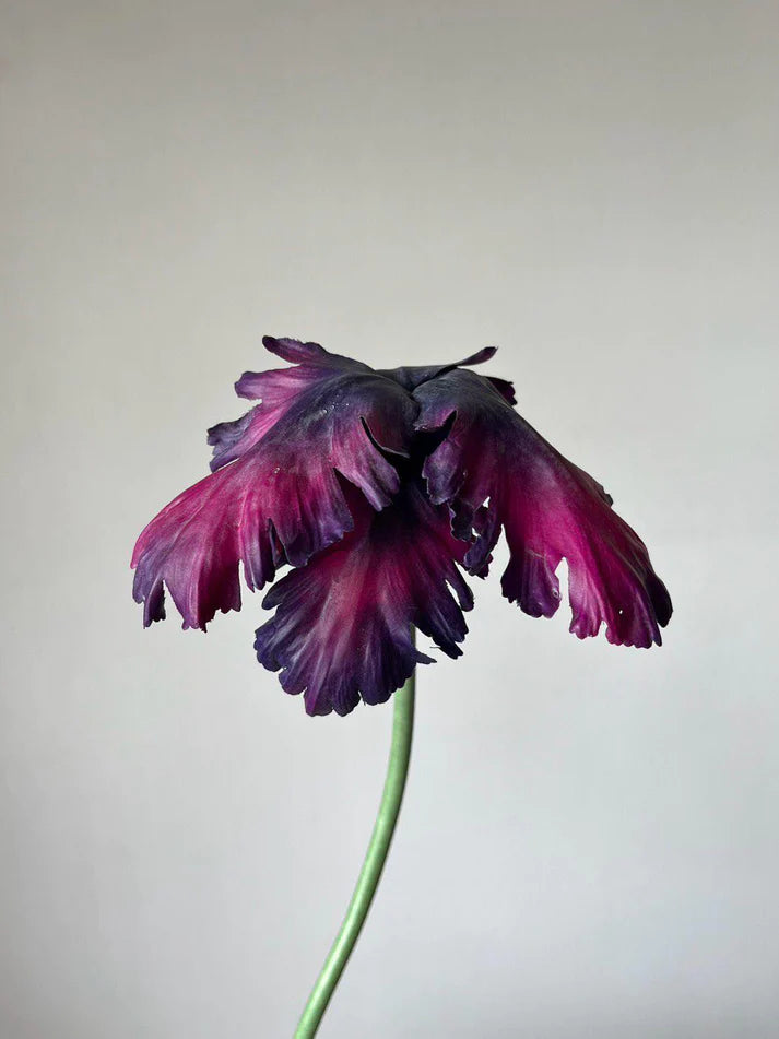 Reevein Studios Tulip Bell Plum Faux Flowers