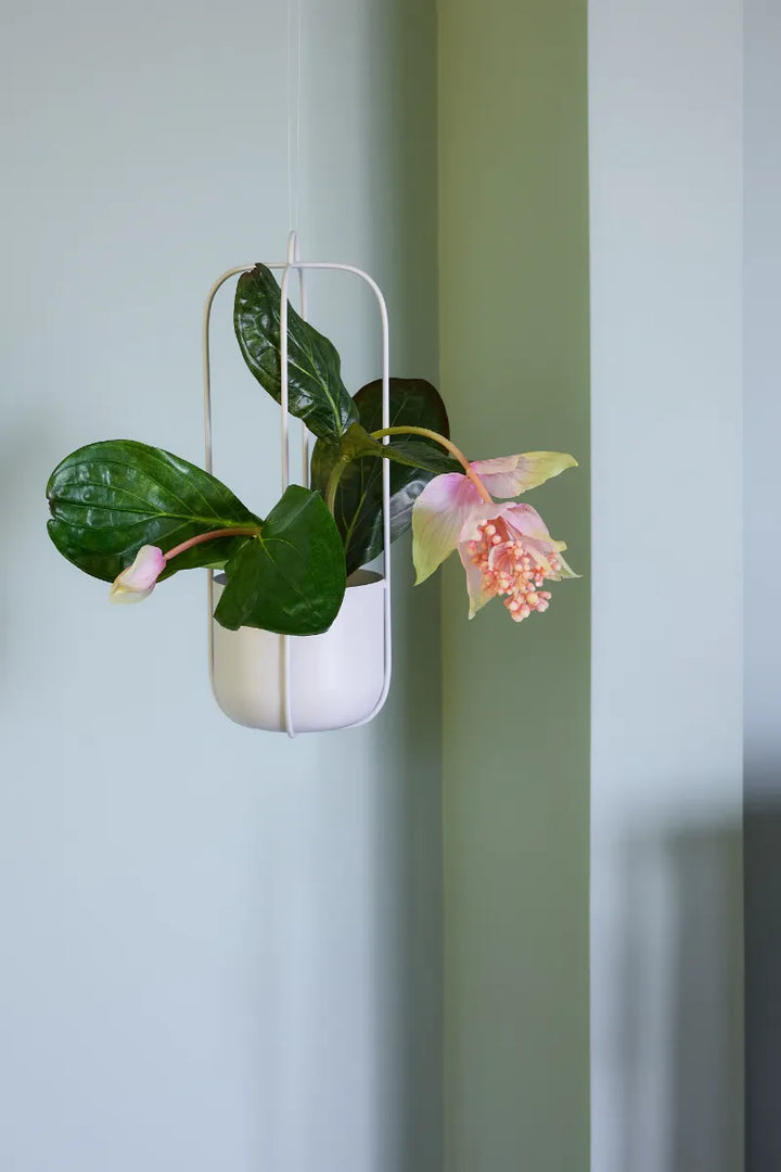 Hübsch Lotus Hængepotter Lysegrå (sæt af 2)