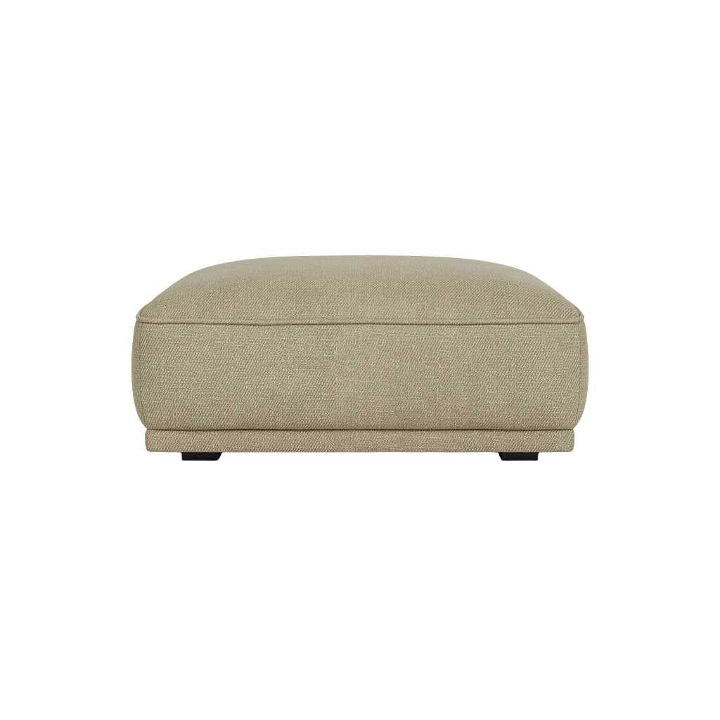 Leonora Fodskammel - Moonlight Lark