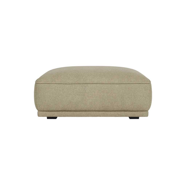 Leonora Fodskammel - Moonlight Lark