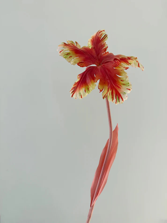 Reevein Studios Tulip Bell Sunset Faux Flowers