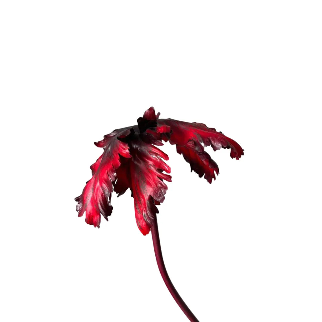 Reevein Studios Tulip Bell Dark Ruby Faux Flowers