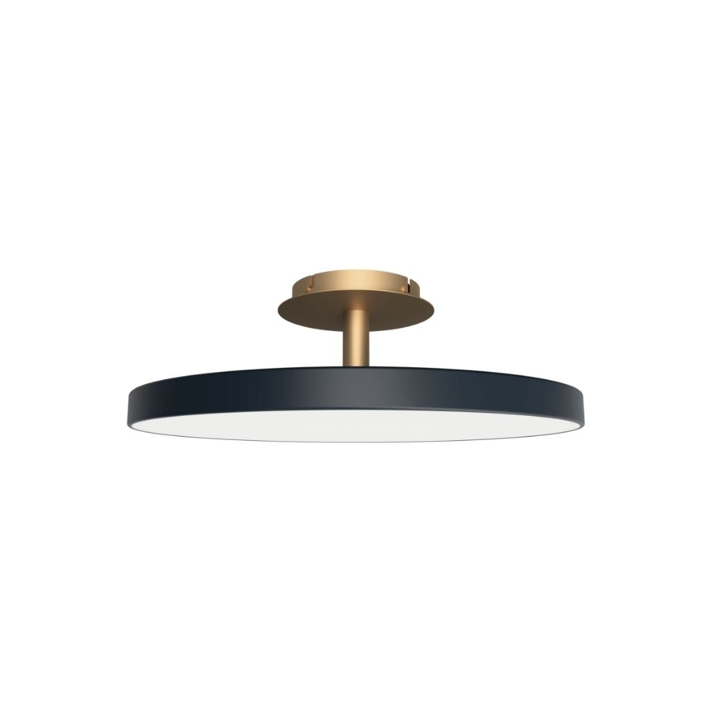 UMAGE Asteria Up Loftslampe Large, Anthracite Grey