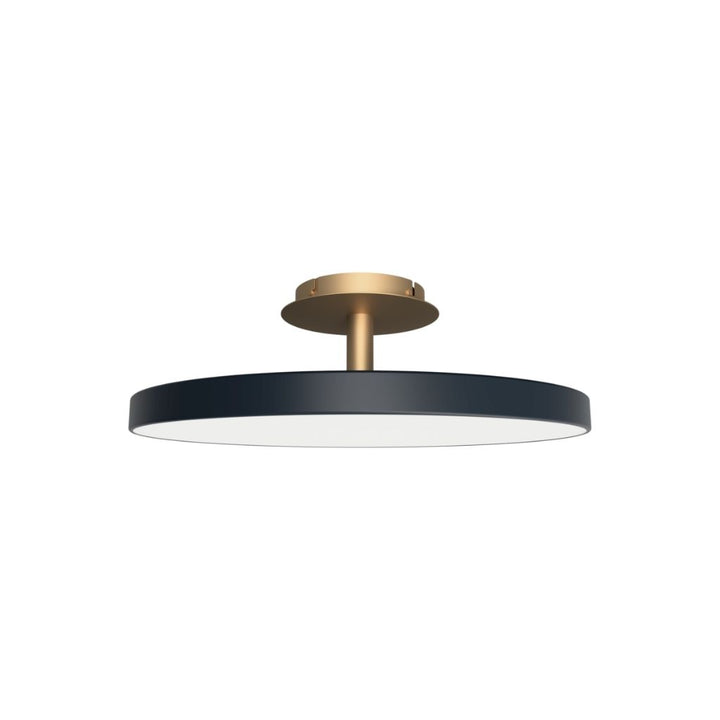 UMAGE Asteria Up Loftslampe Large, Anthracite Grey