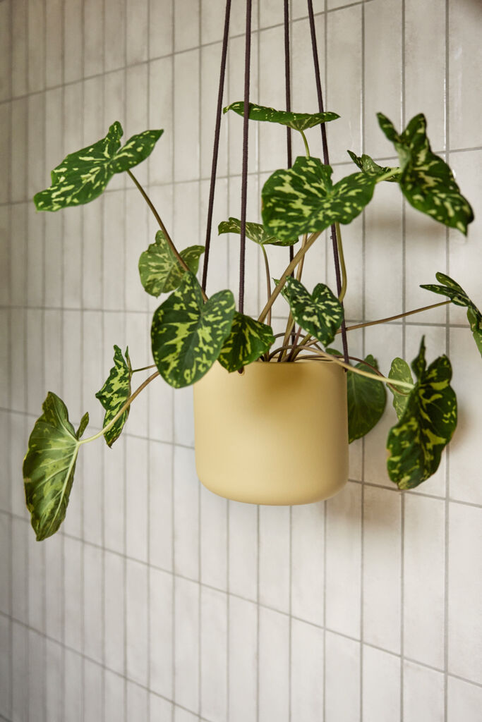 Hübsch Bloom Hanging Pot Large Khaki (set of 3)
